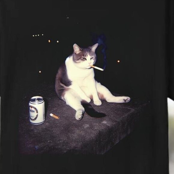 Funny Smoking Cat Meme Shirt – Gen Z Cool Cat Unisex Tee 24 - Picture 2 of 6